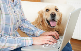 National Pet Insurance Month