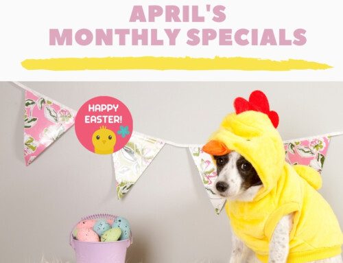 April’s Monthly Specials