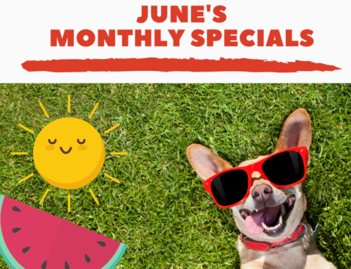 June’s Monthly Specials